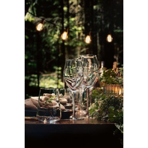 SCHOTT ZWIESEL 8950/42 Transparent 6 Stück(e) 485 ml, 5 image