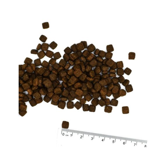 Monge 8009470012089 Katzen-Trockenfutter 1,5 kg Adult Thunfisch, 2 image