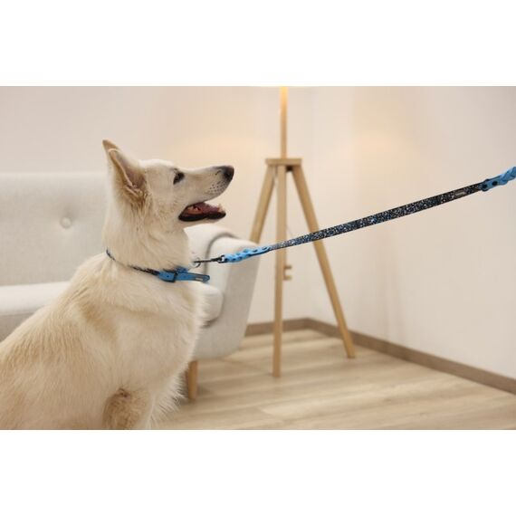 Kerbl Lima 0,1 m Schwarz, Blau Hund Trainingsleine, 5 image