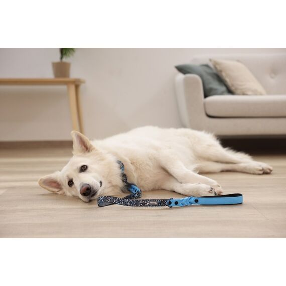 Kerbl Lima 0,1 m Schwarz, Blau Hund Trainingsleine, 6 image