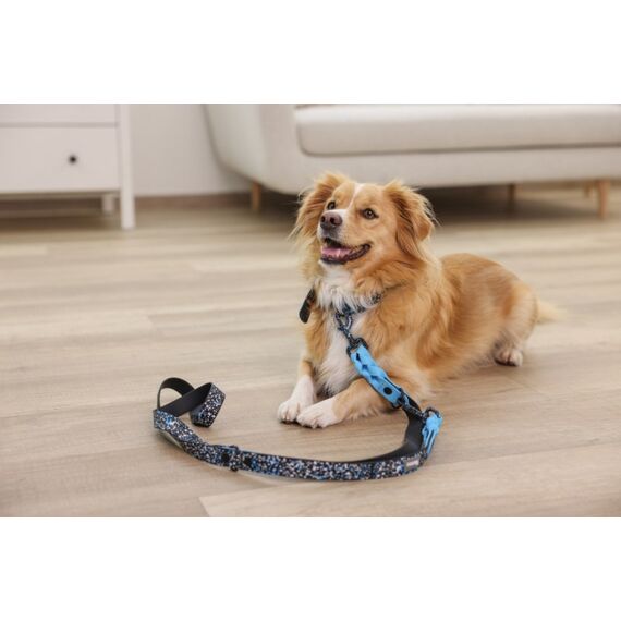 Kerbl Lima 0,2 m Blau Hund Trainingsleine, 5 image