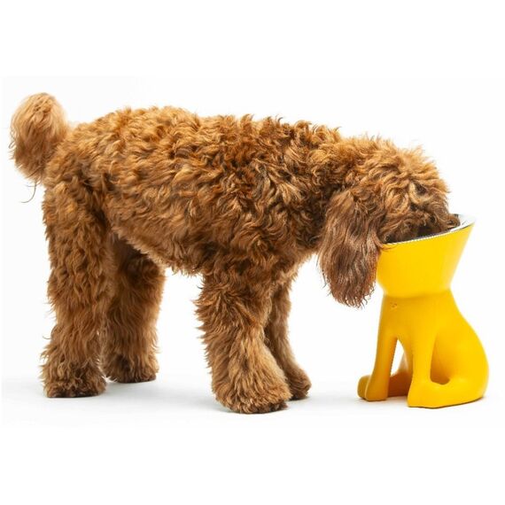 United Pets Elizabeth Hund Haustier-Fütterungsschale, Farbe: Gelb, 3 image