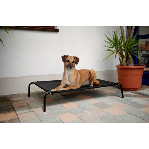 Kerbl 80345 Hunde-/Katzenbett Kühlendes Haustierbett, 3 image