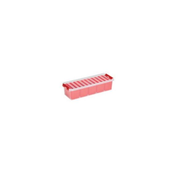 Sigma home 82110611 Aufbewahrungsbox Rechteckig Polypropylen (PP) Rot, Transparent