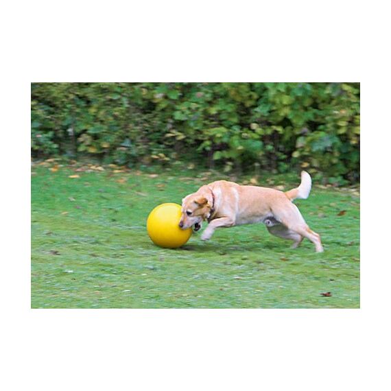 Kerbl 82274 Hunde-/Katzenspielzeug