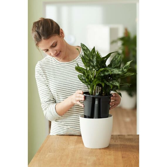 elho 8319921043300 Blumentopf Schwarz Kunststoff 1 Stück(e), 6 image