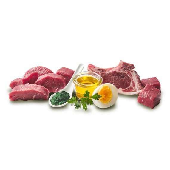 DOGGY Dog 870395 Hunde-Dosenfutter Lamm Adult 400 g, 2 image