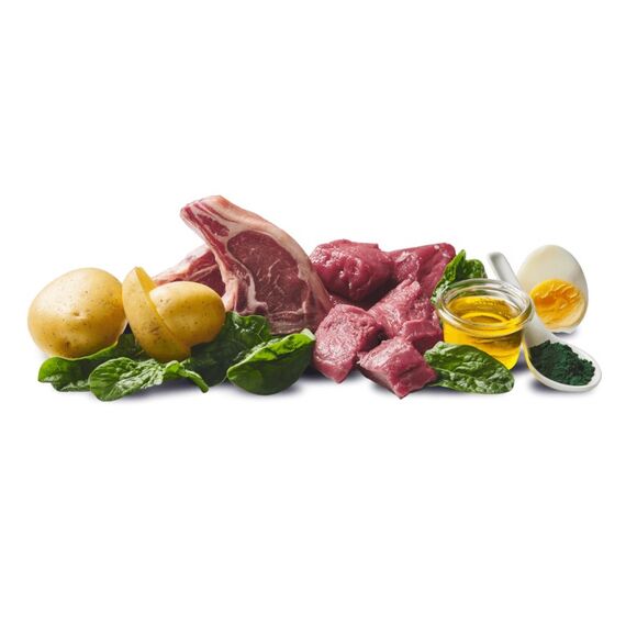 DOGGY Dog 870630 Hunde-Dosenfutter Lamm, Wildfleisch Adult 400 g, 2 image