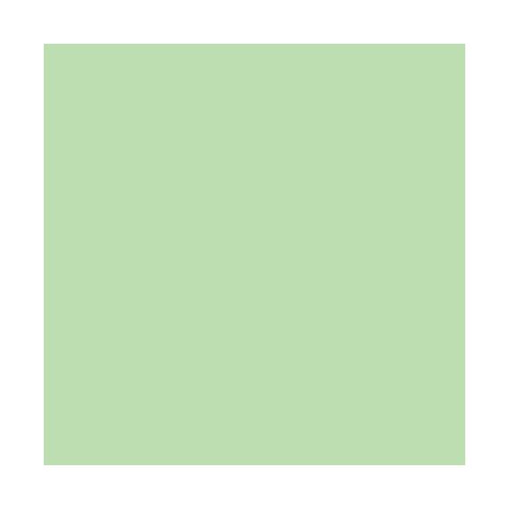 Papyrus Rainbow Druckerpapier A3 (297x420 mm) Matt 250 Blätter Grün