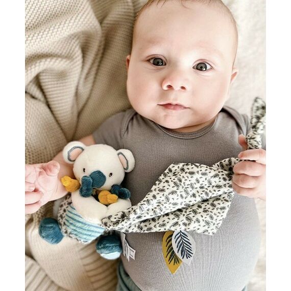 Doudou et Compagnie Koala, 4 image