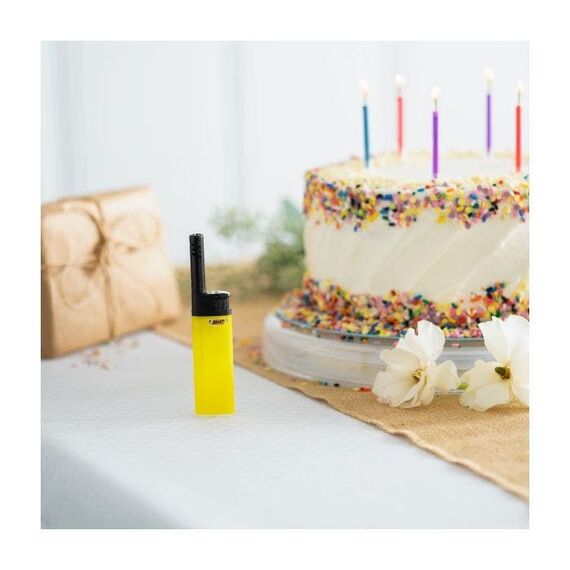 BIC EZ Reach, 5 image