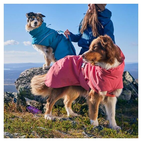 Hurtta Expedition Parka II 30 Blau Stoff Hund Anorak, Farbe: Blau, Größe: 30, 4 image