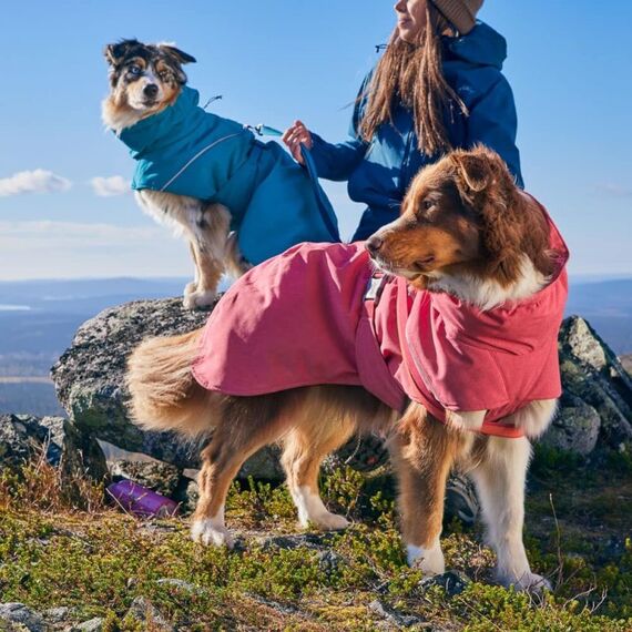 Hurtta Expedition Parka II 45XS Blau Polyethersulfon (PES) Hund Jacke, 4 image