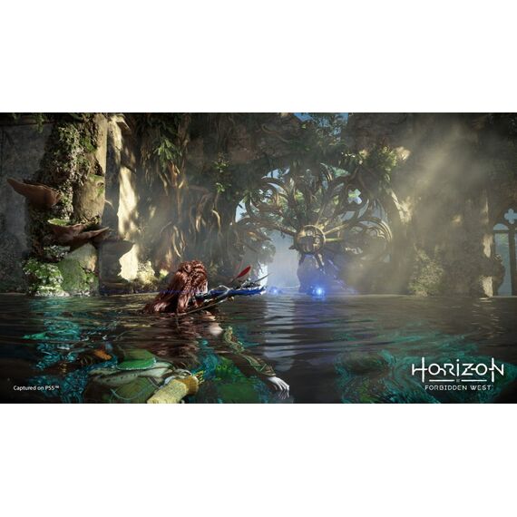 Sony Interactive Entertainment Horizon: Forbidden West (PS5) Standard Mehrsprachig PlayStation 5, 3 image