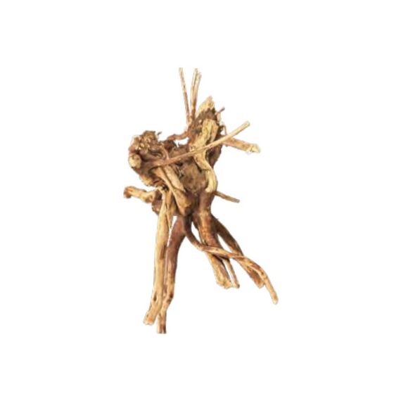 Bioart A4056250 Dekorative Verzierung für Aquarien Holz 1 Stück(e)
