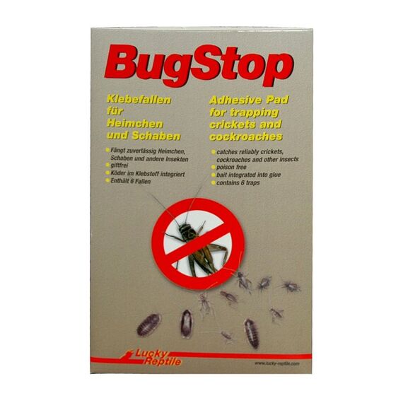 Lucky Reptile BS-1 Insektenfalle Insektenfliegenpapier Braun, Weiß