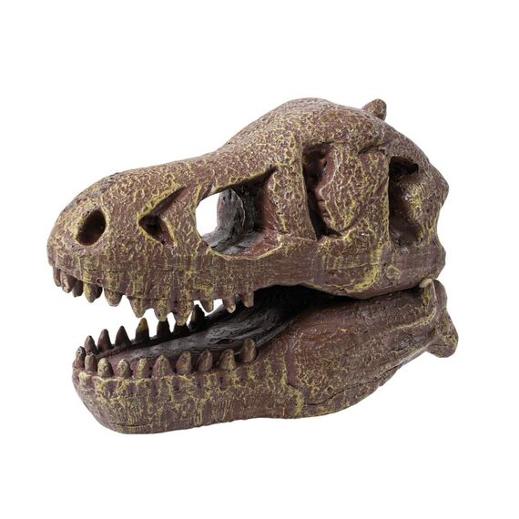 Buki Museum Dino Skull Tyrannosaurus, 6 image