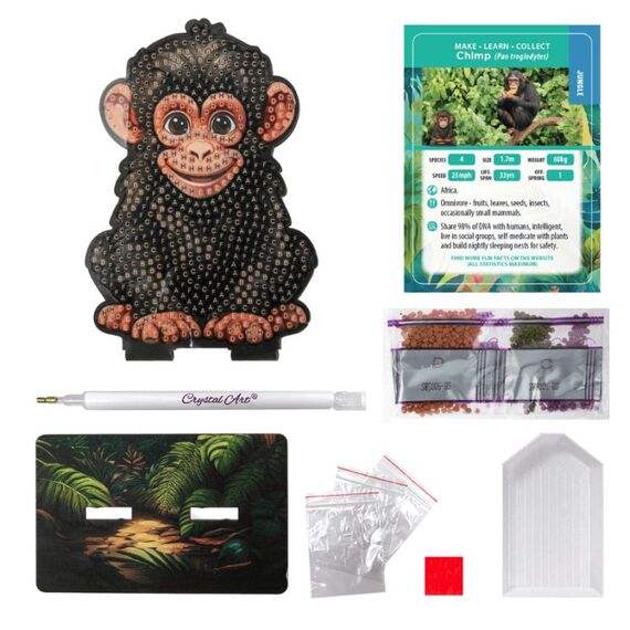 CRAFT Buddy CAFGR-31GEN042 Kunst-/Bastelspielzeug, 5 image