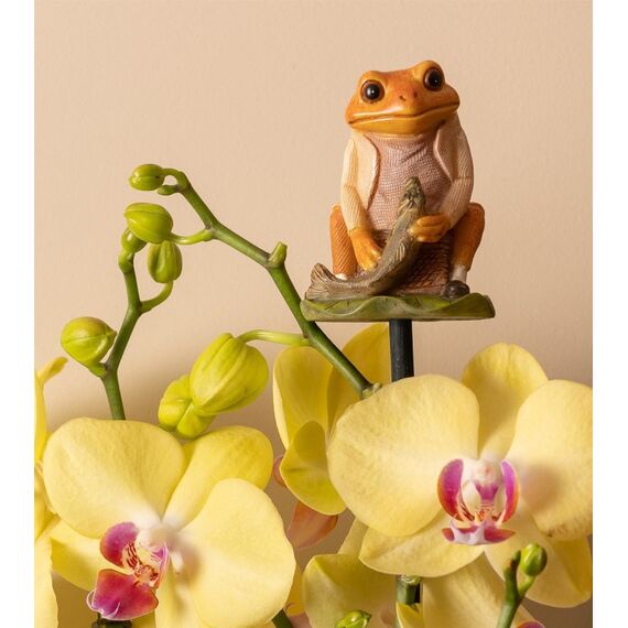Jardinopia CCBP0005C Dekorative Statue & Figur Mehrfarbig Polyresin, 6 image
