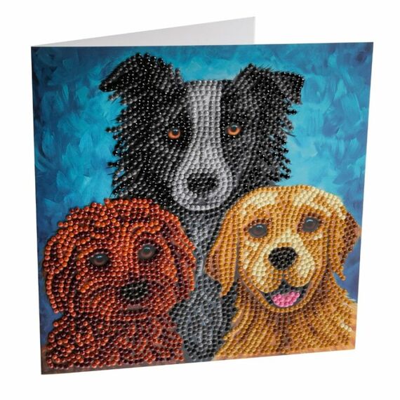 CRAFT Buddy CCK-A126 Kunst-/Bastelspielzeug