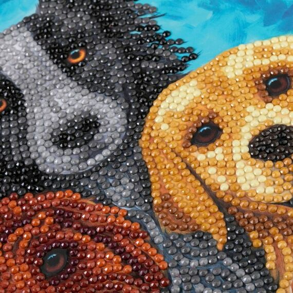 CRAFT Buddy CCK-A126 Kunst-/Bastelspielzeug, 3 image