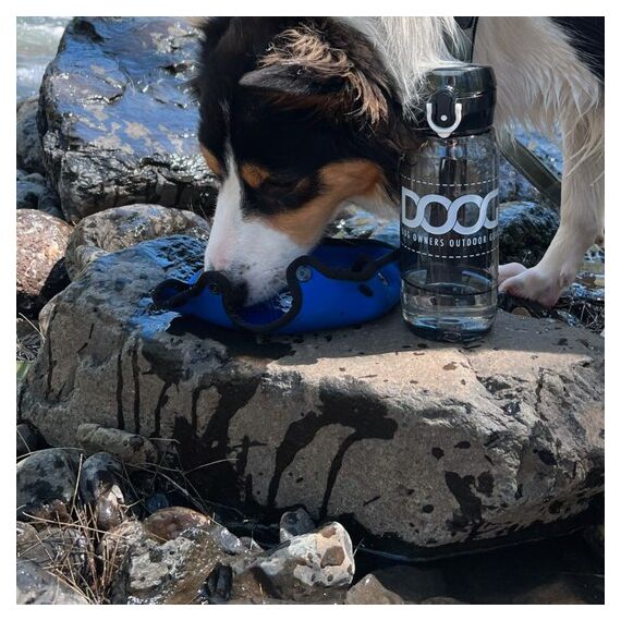 DOOG DBB3IN1 Hundetrinkflasche, 4 image