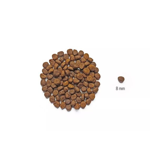 Dog's Love DDJ12000CH Hunde-Trockenfutter 12 kg Welpe Huhn