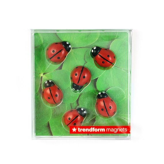 Trendform FW3536 Bastel-Magnet Marienkäfer