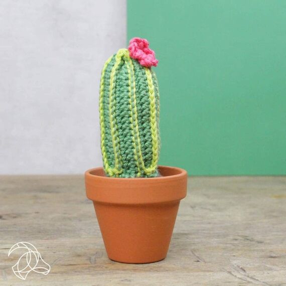 Hardicraft Cacti, 3 image