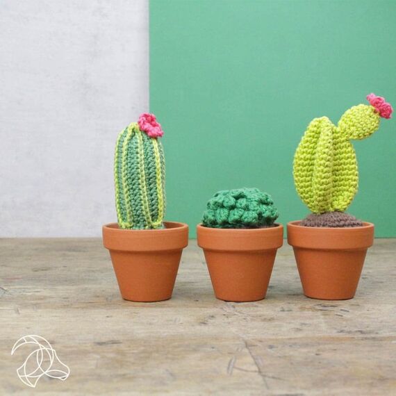 Hardicraft Cacti, 4 image