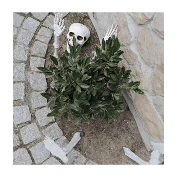 PartyDeco Skeleton Dekoration, 5 image