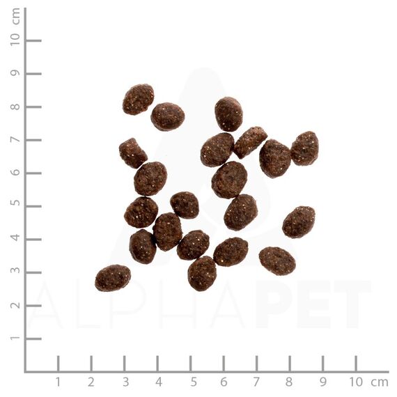 Wildes Land Classic Adult 1.2kg, 2 image