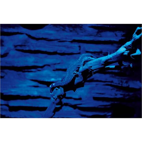 Lucky Reptile NS-1 Reptilien-Heizlampe 0,2 W 1 Stück(e), 3 image