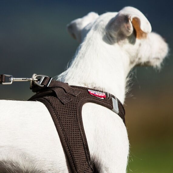 Curli Air-Mesh S Rot Polyester Hund Weste, 4 image