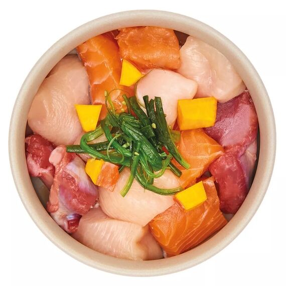 Pure Nature PNDA00150CS Hunde-Dosenfutter Huhn, Lachs Adult 150 g, 2 image