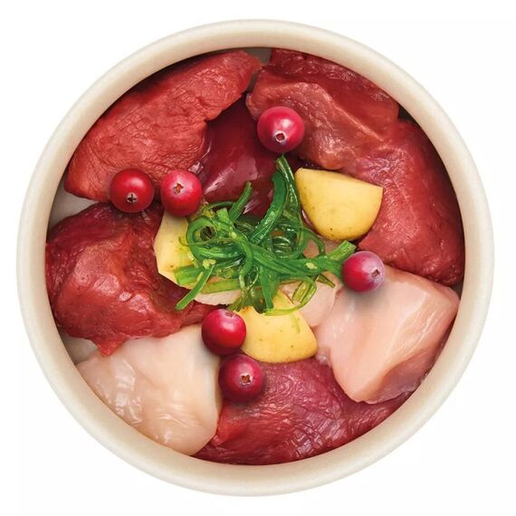 Pure Nature PNDA00150VC Hunde-Dosenfutter Huhn, Wildfleisch Adult 150 g, 2 image