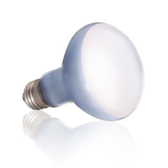 Exo Terra PT2132 Reptilien-Heizlampe 75 W 1 Stück(e), 2 image