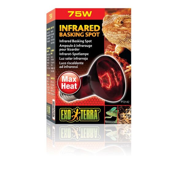 Exo Terra PT2142 Reptilien-Heizlampe 75 W 1 Stück(e), 2 image