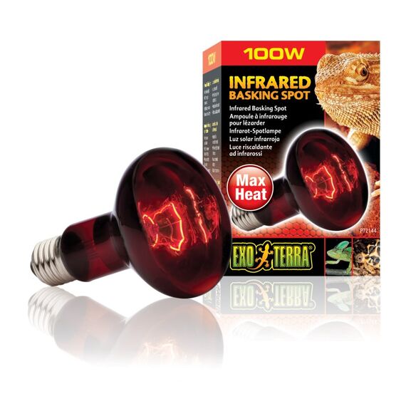 Exo Terra PT2144 Reptilien-Heizlampe 100 W 1 Stück(e)