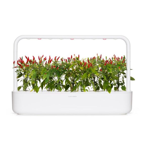Click & Grow PIRI PIRI CHILI 3 Stück(e) Nachfüllen, 2 image