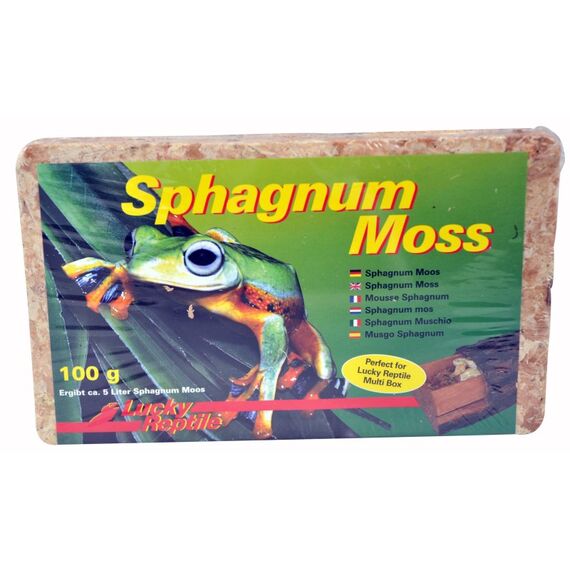 Lucky Reptile SM-100 Substrat für Reptilien/Amphibien Laubmoose 100 g