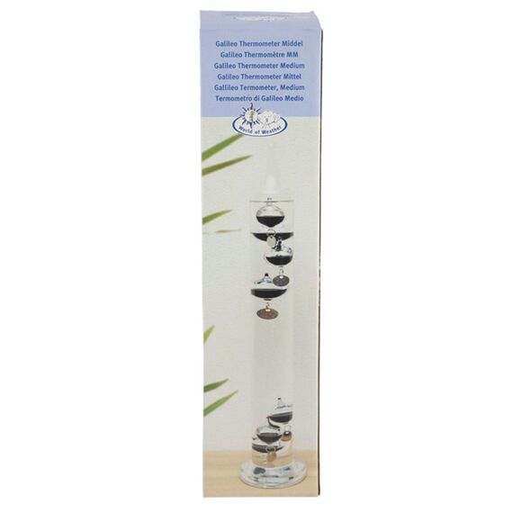 Esschert Design TH43 Umgebungsthermometer