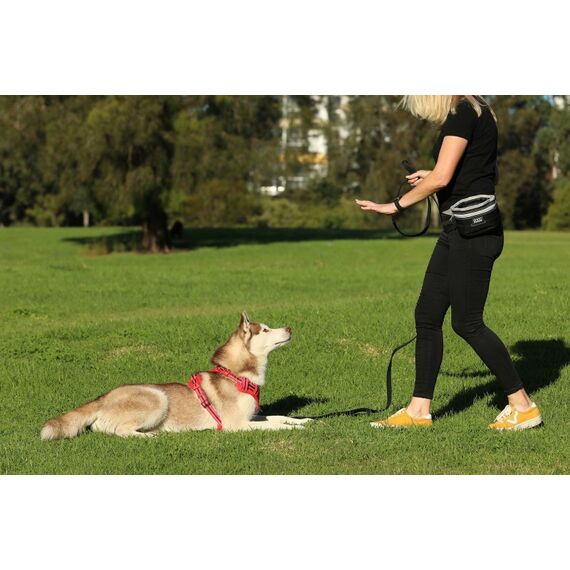 DOOG TP03B Hundeleckerli-Tasche Schwarz, Grau, 5 image