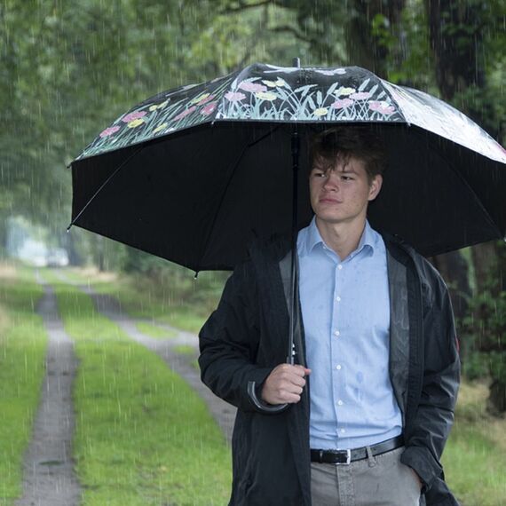 Esschert Design TP275 Regenschirm Schwarz Stahl Polyester Volle Größe, 4 image