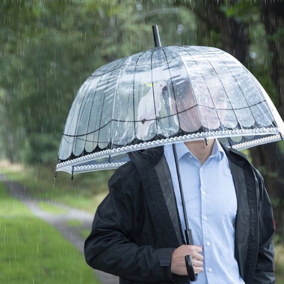 Esschert Design TP321 Regenschirm Schwarz, Mehrfarbig, Transparent Stahl Volle Größe, 4 image