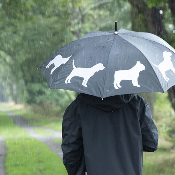 Esschert Design Regenschirm Reflektor Hunde, 5 image