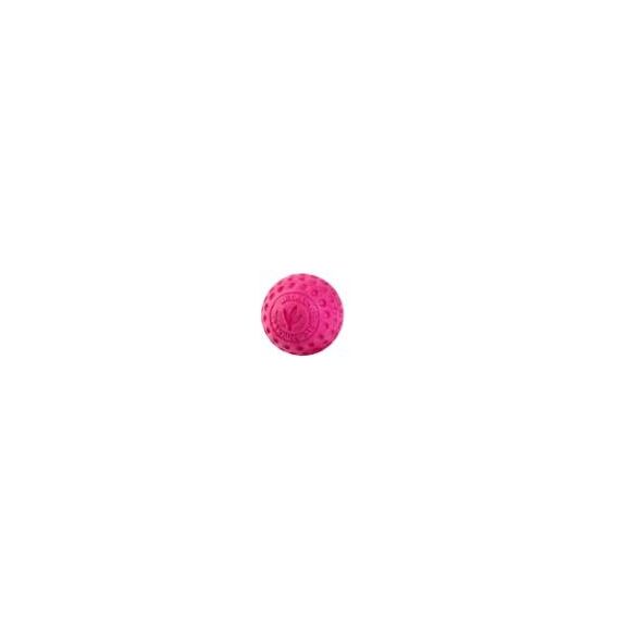 KIWI WALKER BALL