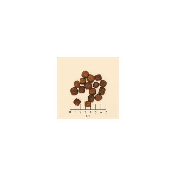 Wolfsblut Dark Forest 2 kg Adult Süßkartoffeln, Wildfleisch