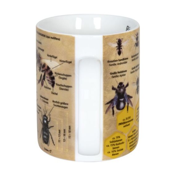 Könitz Porzellan Becher Biene Tasse Mehrfarbig Tee 1 Stück(e), 3 image