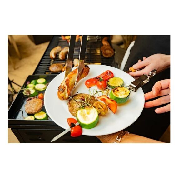 Blaser + Trösch Companion Pro Grill Kochstation Gas Schwarz, Silber 14000 W, 9 image